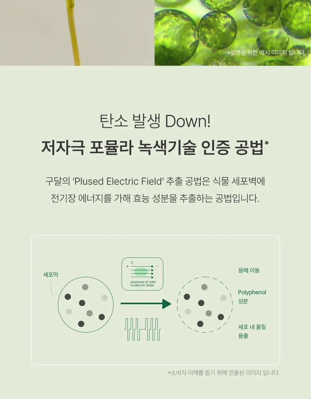[산뜻진정] 구달 맑은 어성초 진정 쿨링 선스틱 19g 1+1 기획 상세페이지 19